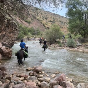 10-daagse paardrijtocht Ugam Chatkal Nationaal Park - Oezbekistan - Afbeelding 13