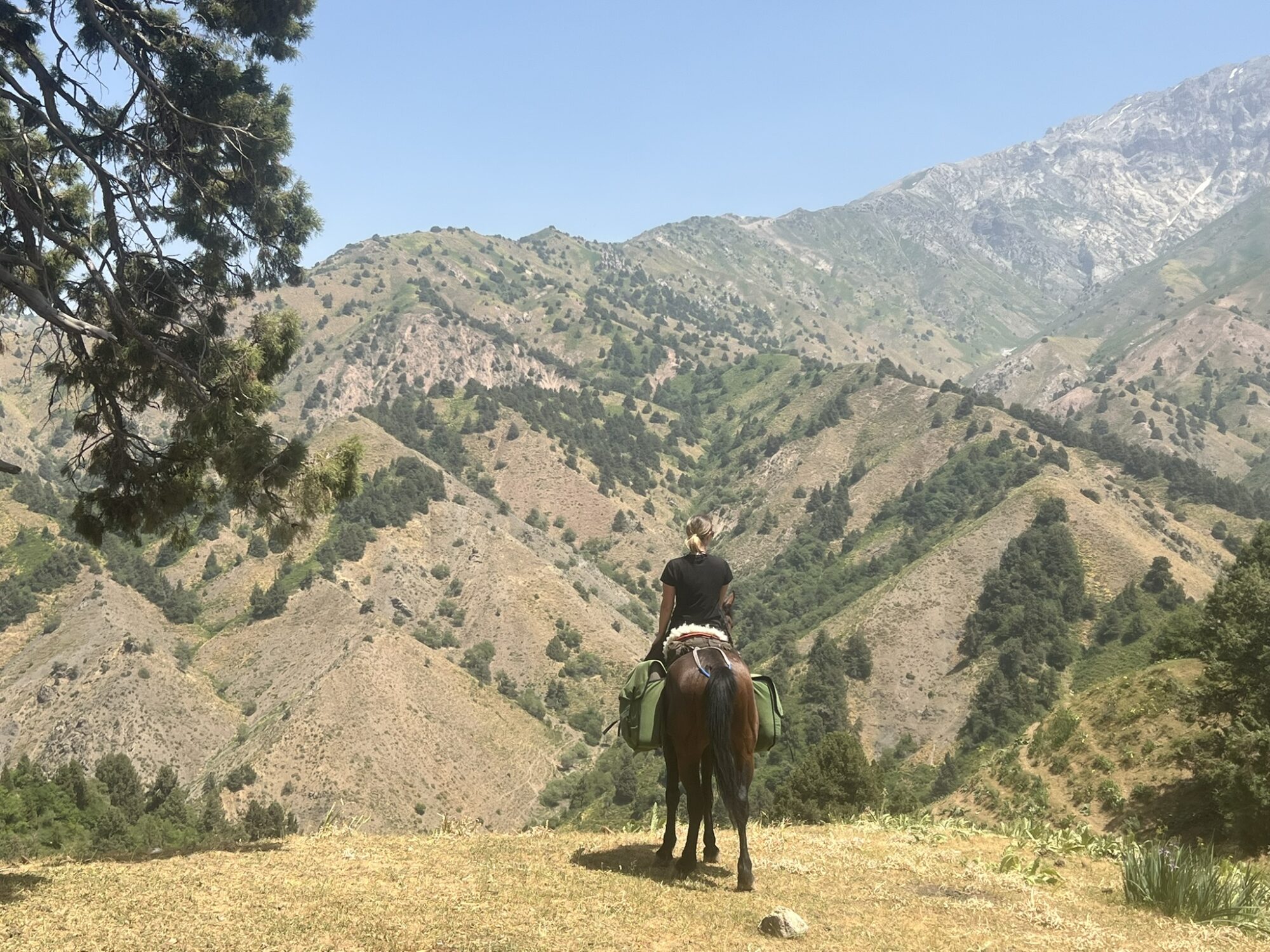 10-daagse paardrijtocht Ugam Chatkal Nationaal Park - Oezbekistan - Afbeelding 1