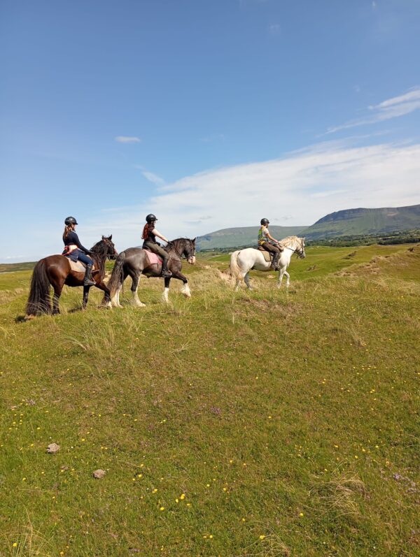 7-daagse paardrijtocht Atlantic Trail  – Ierland