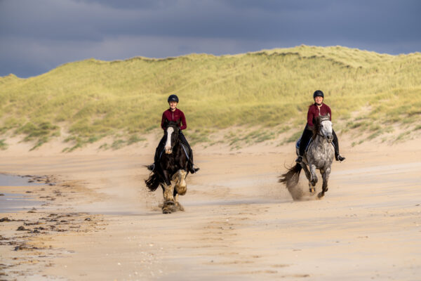 7-daagse paardrijtocht Atlantic Trail  – Ierland