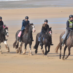 7-daagse paardrijtocht Atlantic Trail  – Ierland - Afbeelding 2