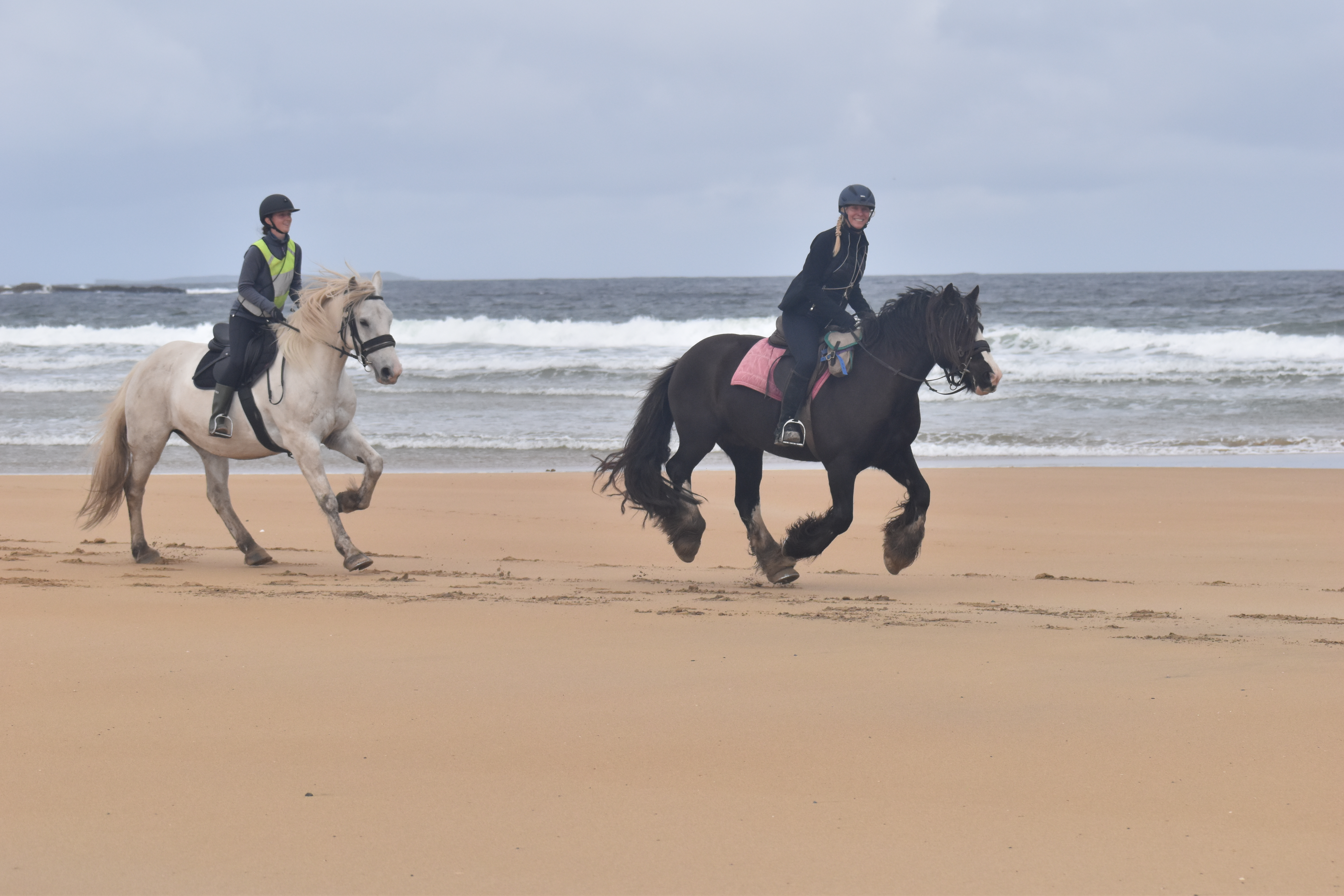 7-daagse paardrijtocht Atlantic Trail  – Ierland - Afbeelding 5