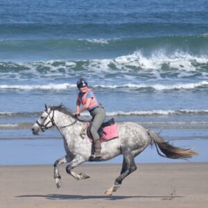 7-daagse paardrijtocht Atlantic Trail  – Ierland - Afbeelding 4