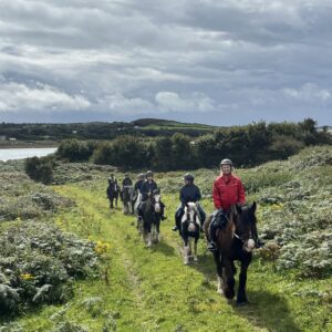 7-daagse paardrijtocht Atlantic Trail  – Ierland - Afbeelding 8