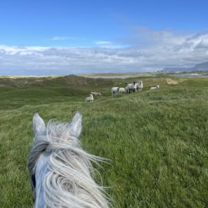 7-daagse paardrijtocht Atlantic Trail  – Ierland - Afbeelding 11