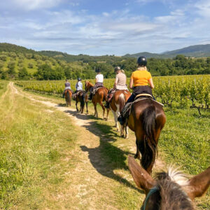 3-daagse paardrijtocht Tufsteensteden Toscane - Italië - Afbeelding 1