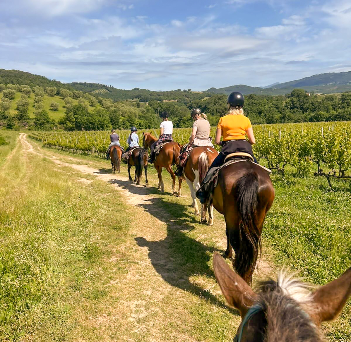 3-daagse paardrijtocht Tufsteensteden Toscane - Italië