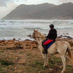 Buitenrit voor beginners rond het Baratzmeer Sardinië - Italië - Afbeelding 2