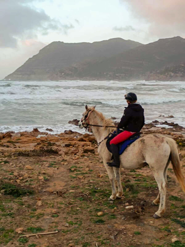 Buitenrit voor beginners rond het Baratzmeer Sardinië - Italië