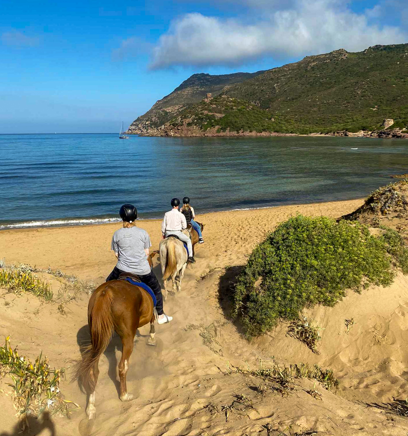 Buitenrit voor beginners rond het Baratzmeer Sardinië - Italië - Afbeelding 6