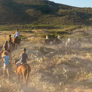 Buitenrit van bos en duinen naar zee Noordwestkust Sardinië - Italië - Afbeelding 15