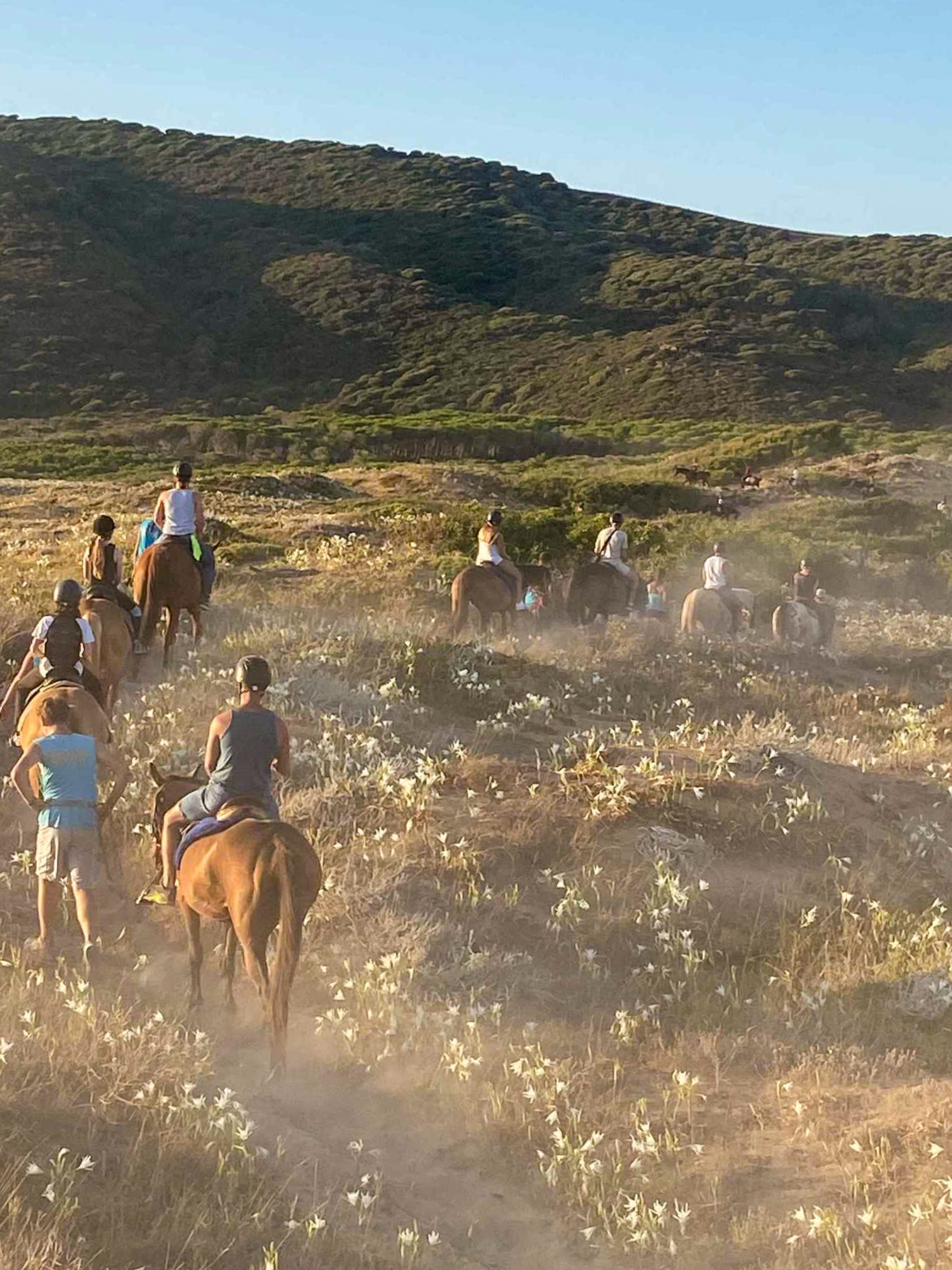 Buitenrit van bos en duinen naar zee Noordwestkust Sardinië - Italië