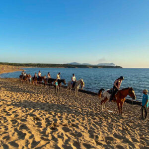 Buitenrit voor beginners rond het Baratzmeer Sardinië - Italië - Afbeelding 7