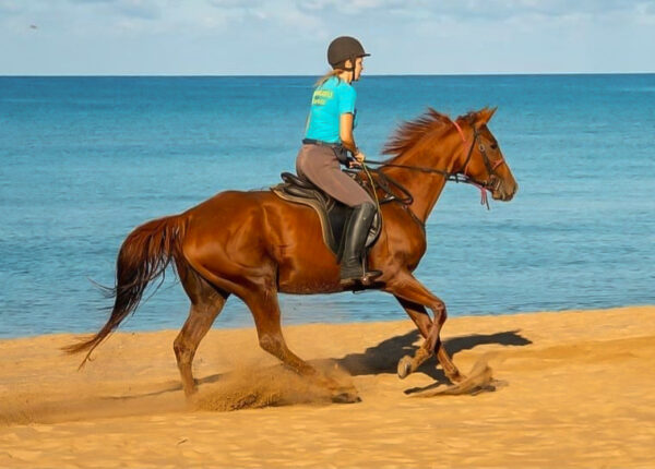 Buitenrit van bos en duinen naar zee Noordwestkust Sardinië - Italië