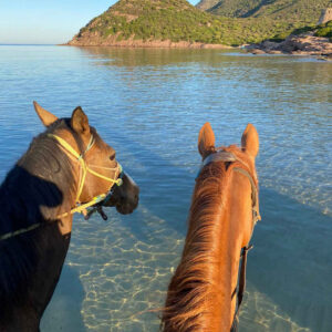 Buitenrit voor beginners rond het Baratzmeer Sardinië - Italië - Afbeelding 8