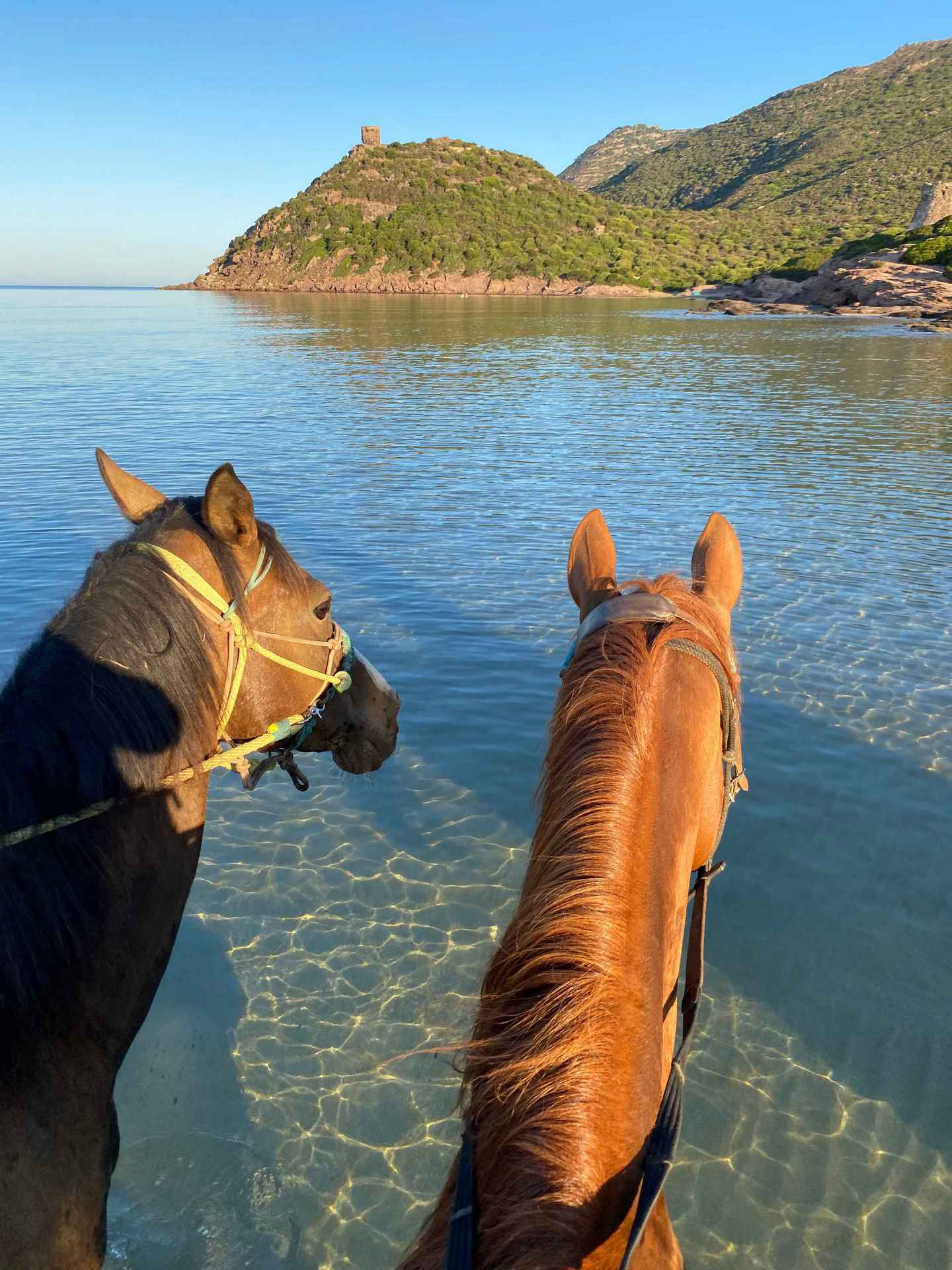 Buitenrit voor beginners rond het Baratzmeer Sardinië - Italië - Afbeelding 8