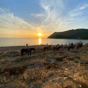 Buitenrit van het Baratzmeer naar het strand van Porto Ferro Sardinië - Italië - Afbeelding 11