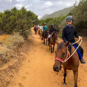 Buitenrit van het Baratzmeer naar het strand van Porto Ferro Sardinië - Italië - Afbeelding 8
