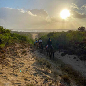 Buitenrit van het Baratzmeer naar het strand van Porto Ferro Sardinië - Italië - Afbeelding 9