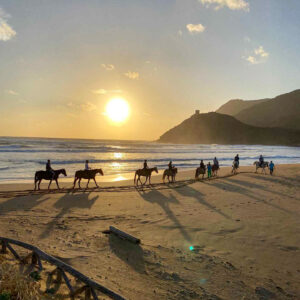 Buitenrit van het Baratzmeer naar het strand van Porto Ferro Sardinië - Italië - Afbeelding 10
