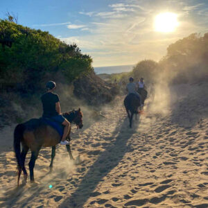 Buitenrit van bos en duinen naar zee Noordwestkust Sardinië - Italië - Afbeelding 13