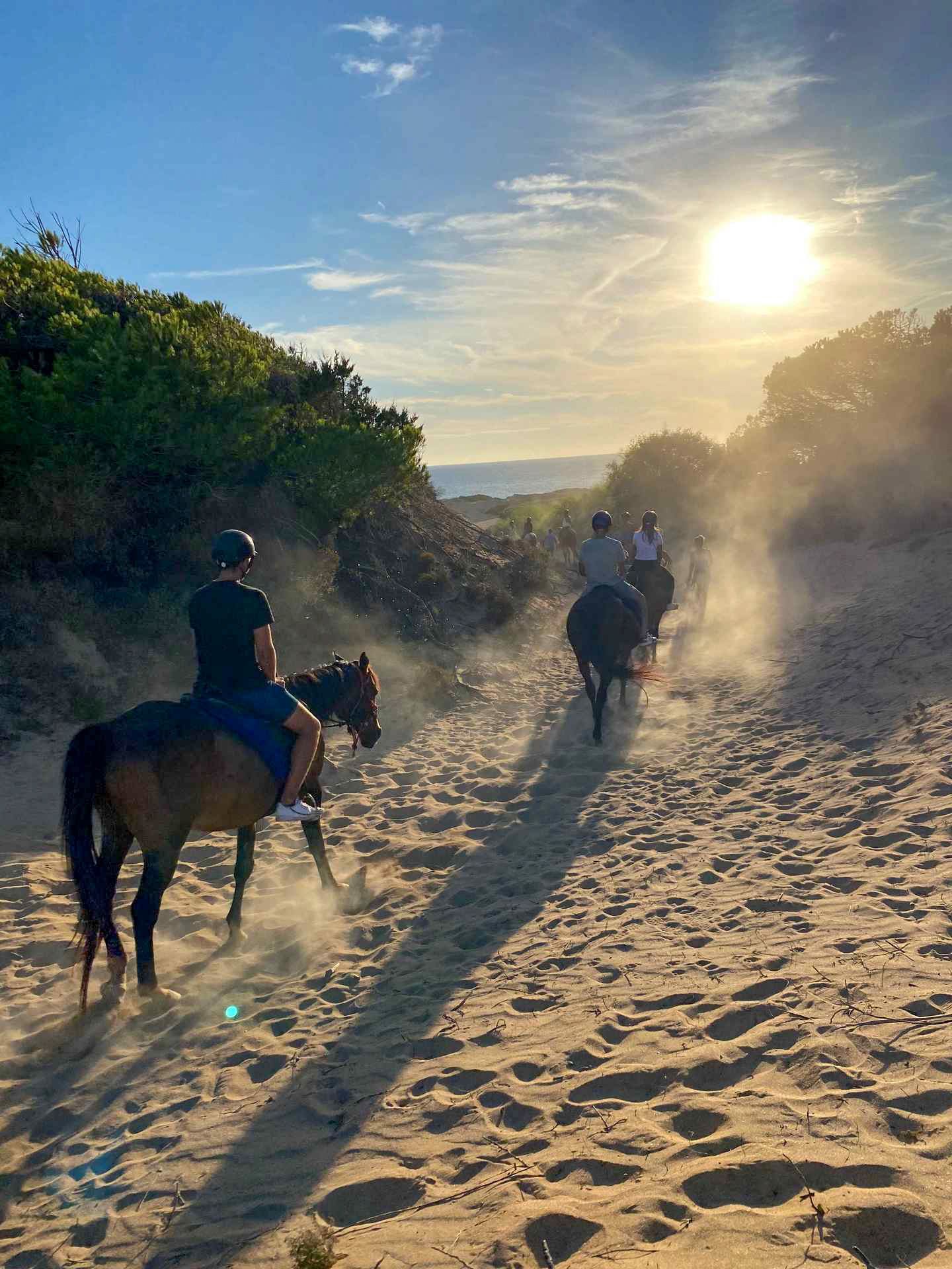 Buitenrit van bos en duinen naar zee Noordwestkust Sardinië - Italië