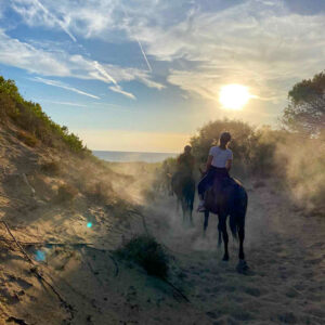 Buitenrit van bos en duinen naar zee Noordwestkust Sardinië - Italië - Afbeelding 3