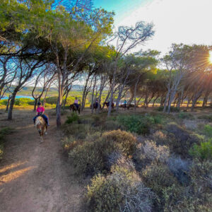 Buitenrit voor beginners rond het Baratzmeer Sardinië - Italië - Afbeelding 10
