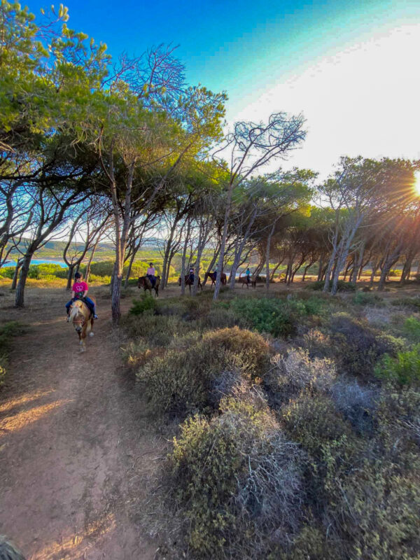Buitenrit voor beginners rond het Baratzmeer Sardinië - Italië