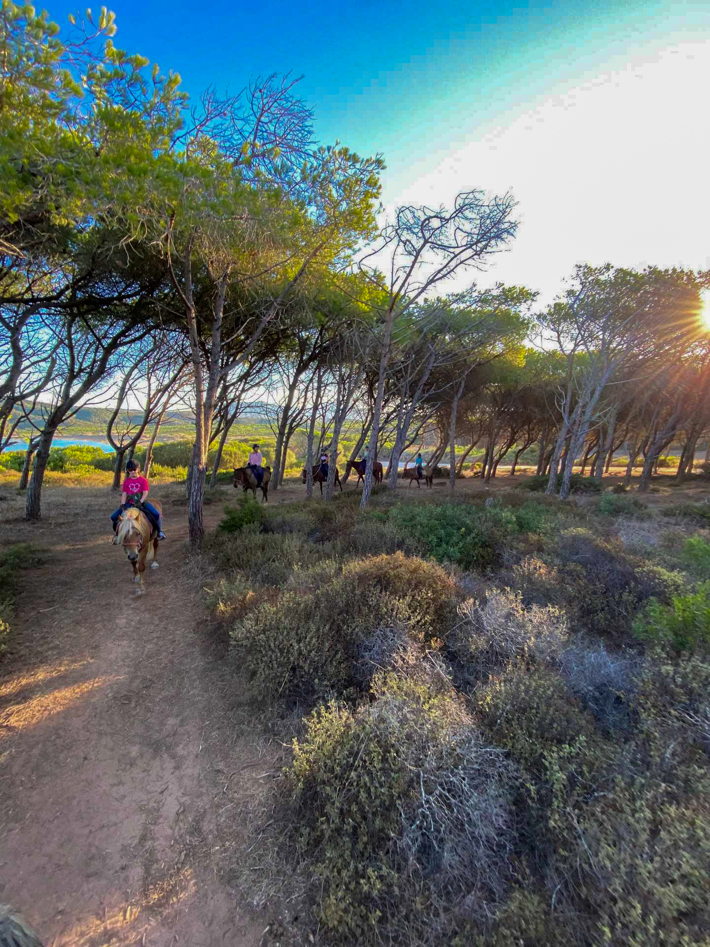 Buitenrit voor beginners rond het Baratzmeer Sardinië - Italië - Afbeelding 10
