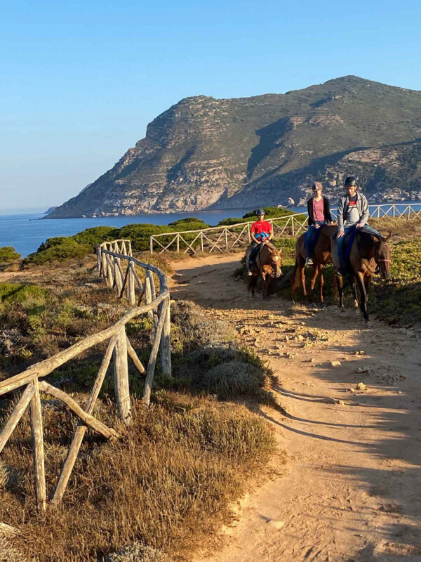 Buitenrit voor beginners rond het Baratzmeer Sardinië - Italië