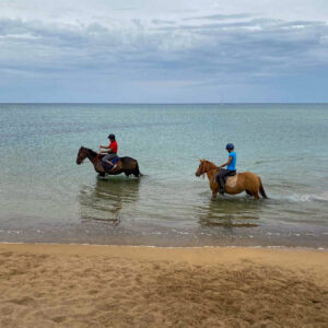 Buitenrit van bos en duinen naar zee Noordwestkust Sardinië - Italië - Afbeelding 4