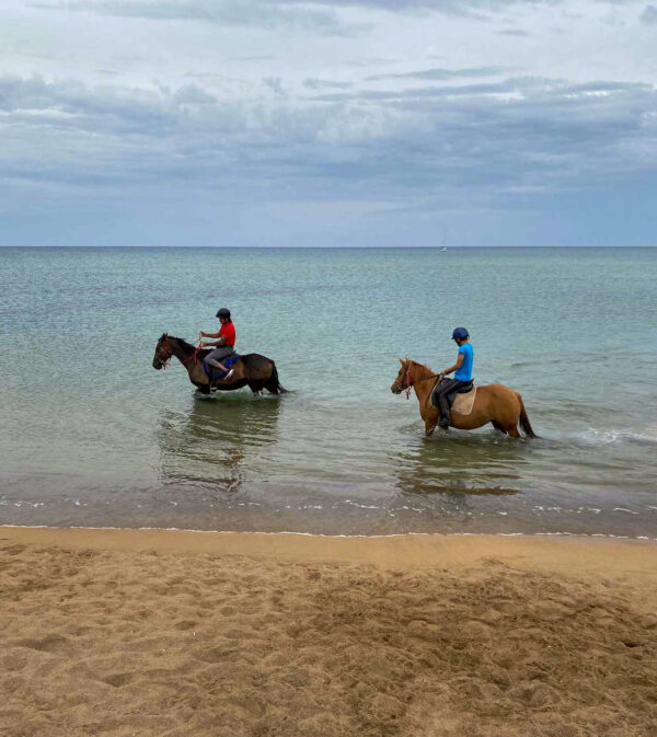 Buitenrit van bos en duinen naar zee Noordwestkust Sardinië - Italië