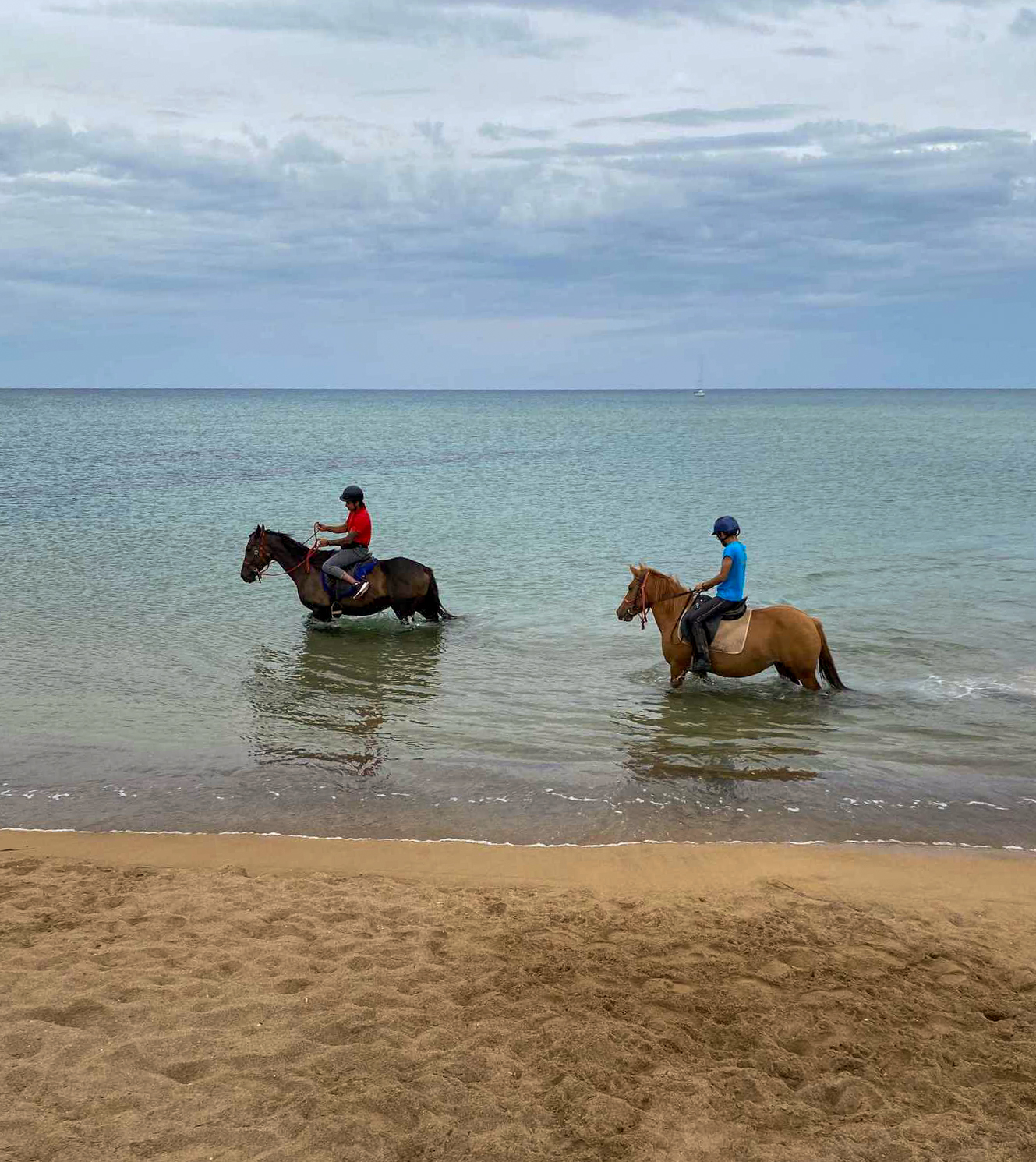 Buitenrit van bos en duinen naar zee Noordwestkust Sardinië - Italië - Afbeelding 4