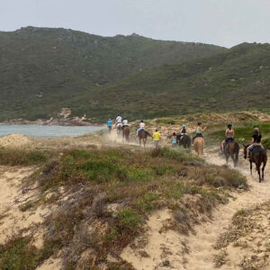 Buitenrit van bos en duinen naar zee Noordwestkust Sardinië - Italië - Afbeelding 5