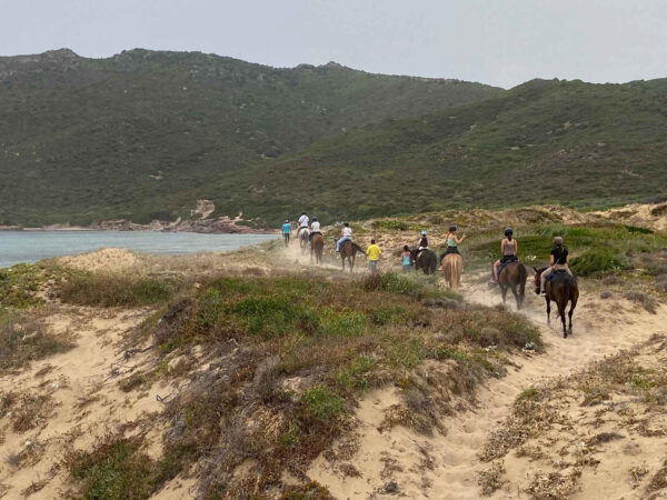 Buitenrit van bos en duinen naar zee Noordwestkust Sardinië - Italië