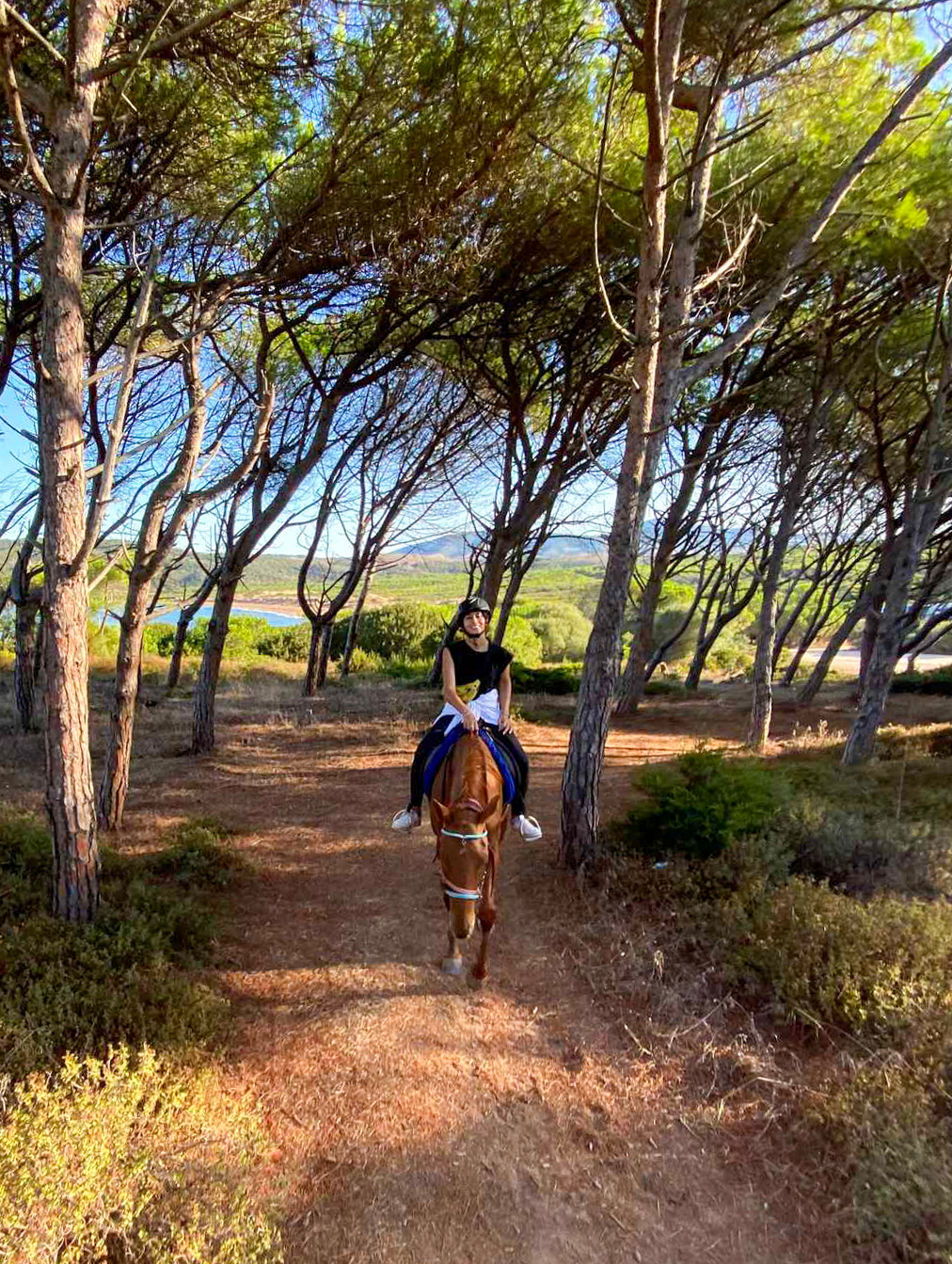 Buitenrit van bos en duinen naar zee Noordwestkust Sardinië - Italië