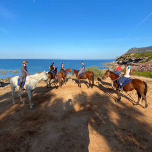 Buitenrit van bos en duinen naar zee Noordwestkust Sardinië - Italië - Afbeelding 9