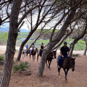 Buitenrit van bos en duinen naar zee Noordwestkust Sardinië - Italië - Afbeelding 6