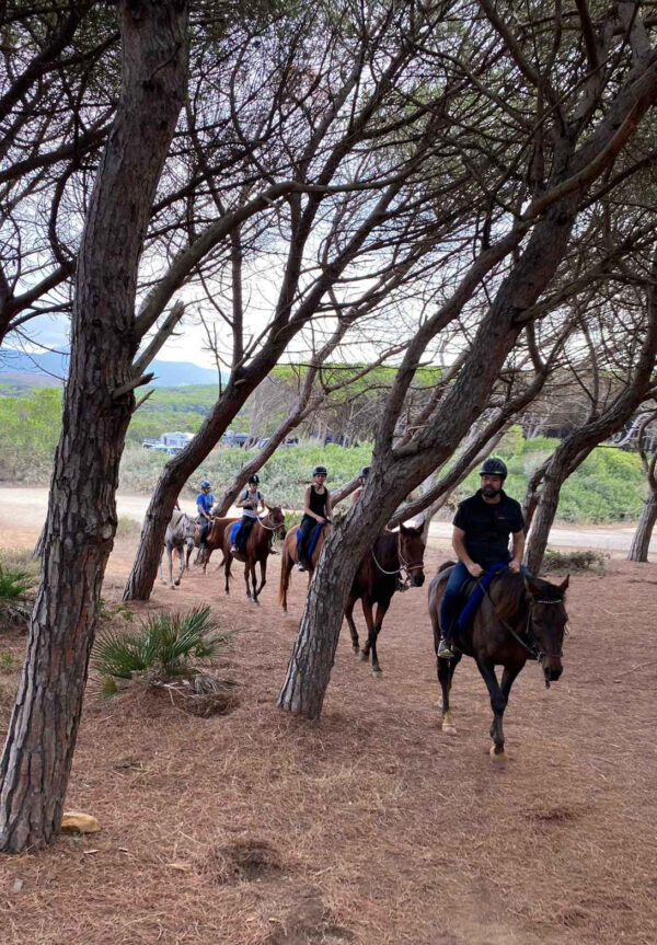 Buitenrit van bos en duinen naar zee Noordwestkust Sardinië - Italië