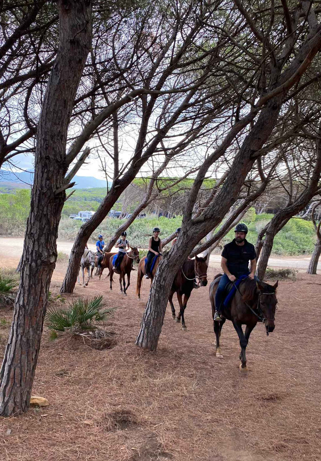 Buitenrit van bos en duinen naar zee Noordwestkust Sardinië - Italië - Afbeelding 6