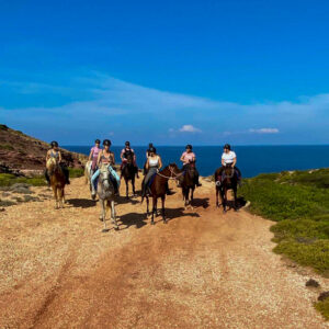 Buitenrit van bos en duinen naar zee Noordwestkust Sardinië - Italië - Afbeelding 8
