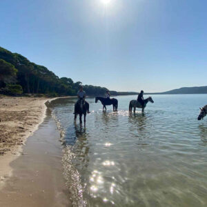Buitenrit van bos en duinen naar zee Noordwestkust Sardinië - Italië - Afbeelding 7