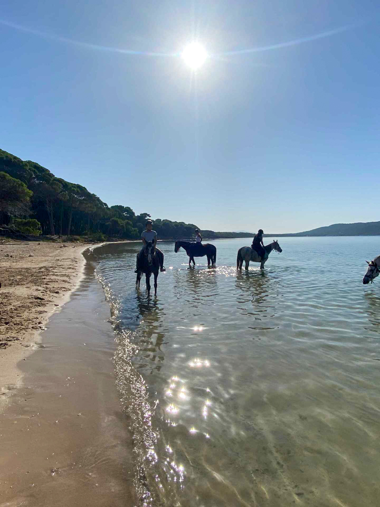 Buitenrit van bos en duinen naar zee Noordwestkust Sardinië - Italië - Afbeelding 7