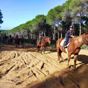 Buitenrit van het Baratzmeer naar het strand van Porto Ferro Sardinië - Italië - Afbeelding 2