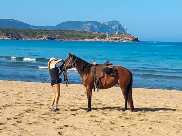 Buitenrit voor beginners rond het Baratzmeer Sardinië - Italië