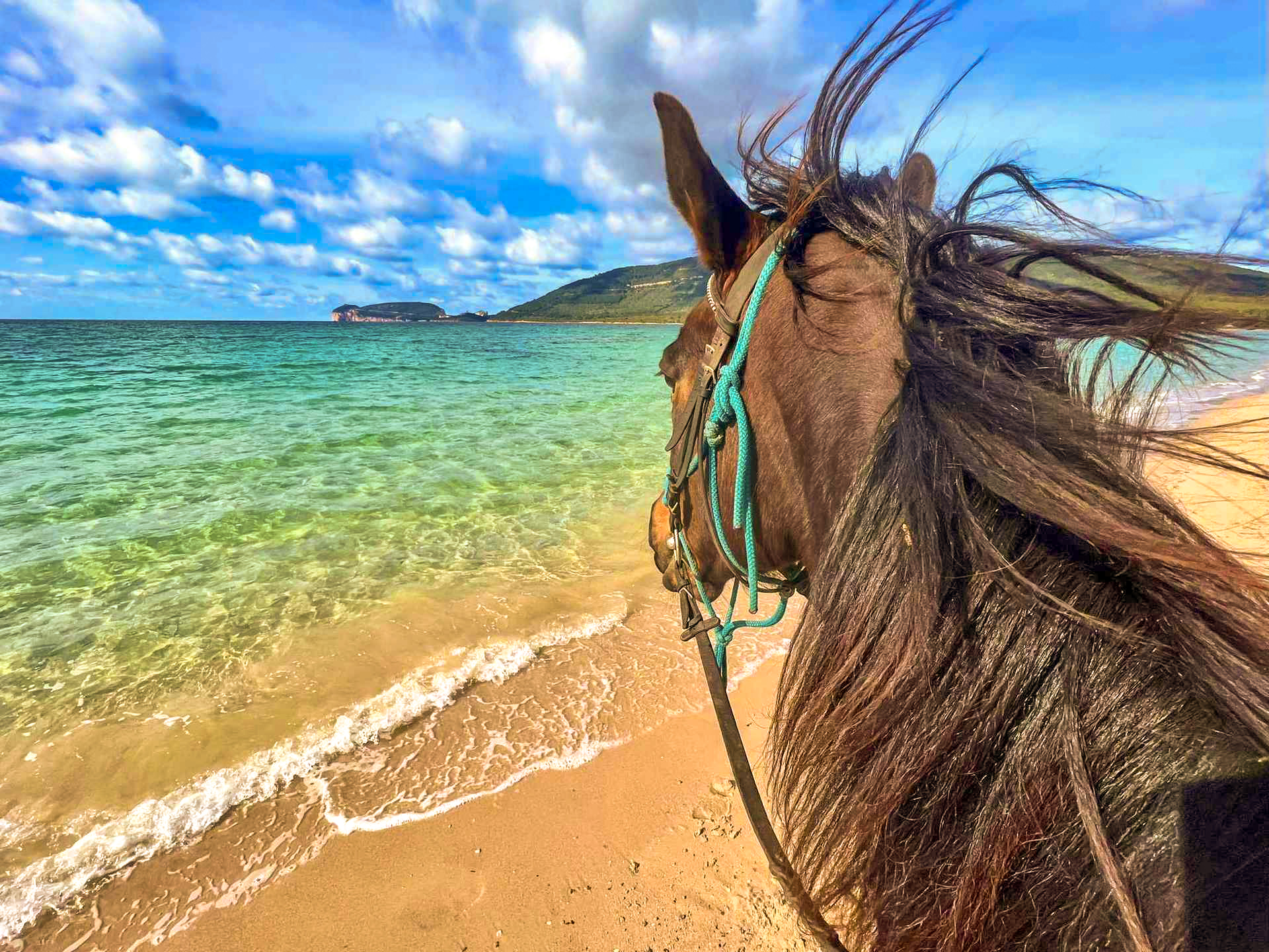 Buitenrit voor beginners rond het Baratzmeer Sardinië - Italië - Afbeelding 4