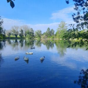 7-daagse paardrijtocht Ranch & Monarch Sanctuary - Mexico - Afbeelding 13