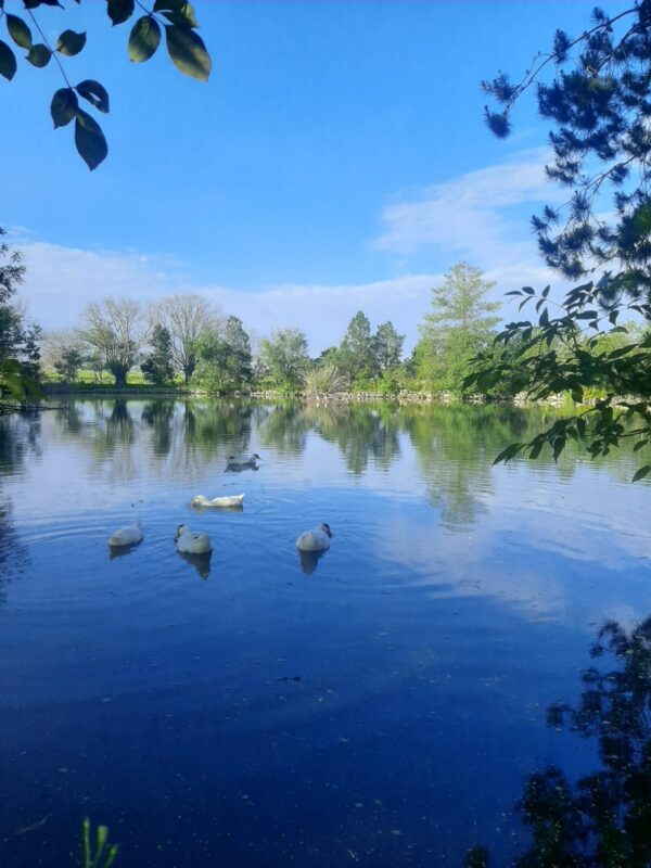 7-daagse paardrijtocht Ranch & Monarch Sanctuary - Mexico