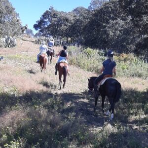 6-daagse paardrijtocht Hidalgo - Mexico - Afbeelding 10